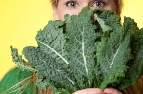 Supplements for a Herniated Disc Supplements for a Herniated Disc