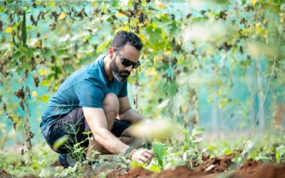 Gardening Without Back Pain