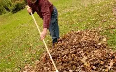 Raking Leaves and Back Pain
