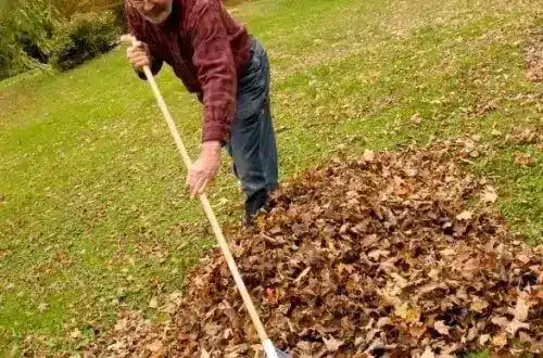 iStock_000011028941Small-500×330