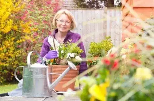 iStock_000038719062Small-500×330