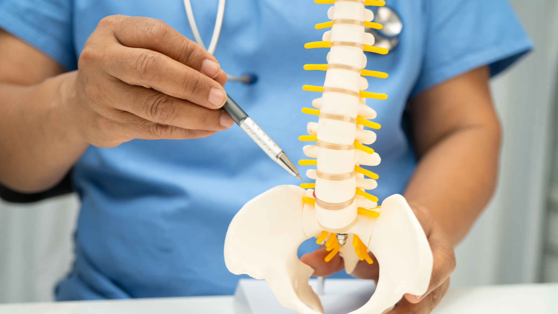 Doctor reviewing a spinal disc model with a patient at Back Clinics of Canada